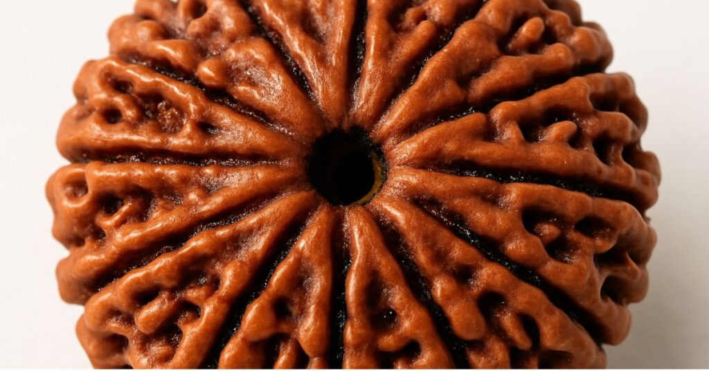 What Is 10 Mukhi Rudraksha