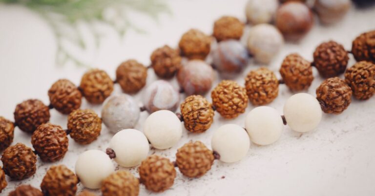 12 मुखी रुद्राक्ष की सम्पूर्ण जानकारी – लाभ, पहनने की विधि, मंत्र और सावधानियाँ।