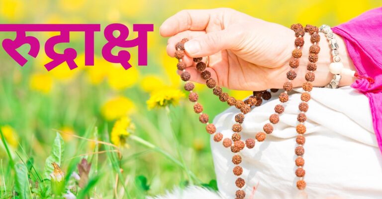 13 मुखी रुद्राक्ष की सम्पूर्ण जानकारी – लाभ, पहनने की विधि, मंत्र और सावधानियाँ।