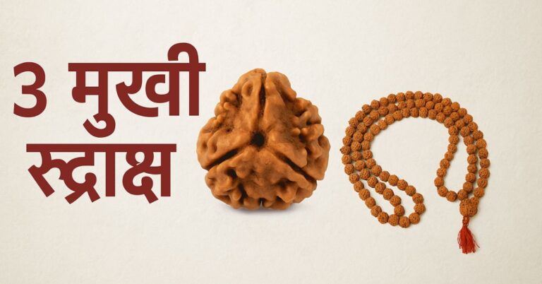 3 मुखी रुद्राक्ष की सम्पूर्ण जानकारी – लाभ, पहनने की विधि, मंत्र और सावधानियाँ
