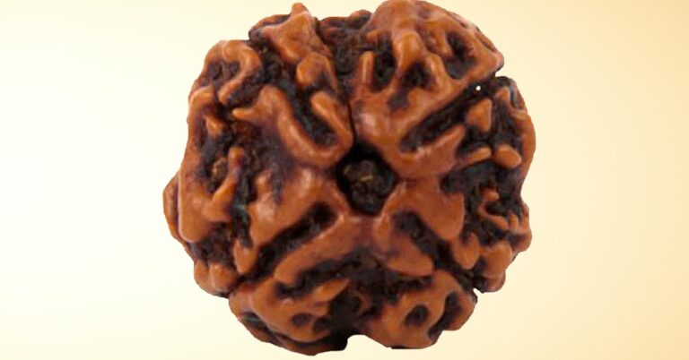 Unlocking the Power of 4 Mukhi Rudraksha: Spiritual Growth, Emotional Balance, and Health Benefits