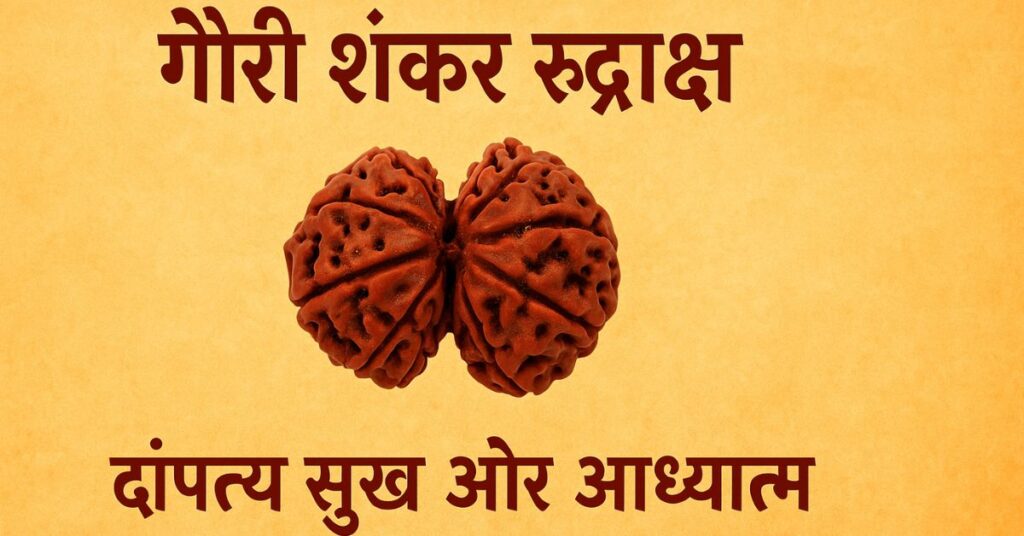 गौरी शंकर रुद्राक्ष 1